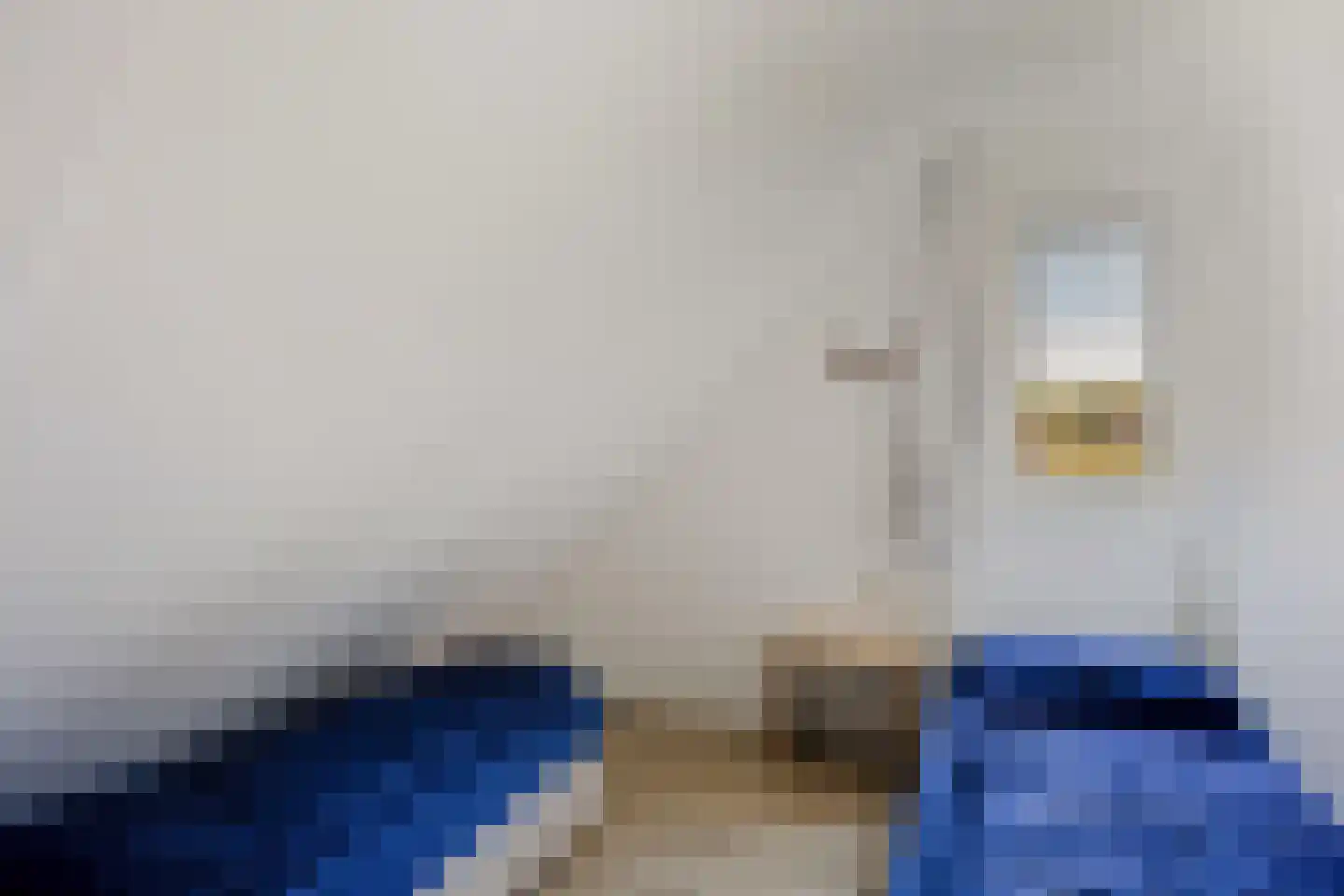 Bruine Hoopsweg 6 a Z213 Hoge Hexel thumbnail 14