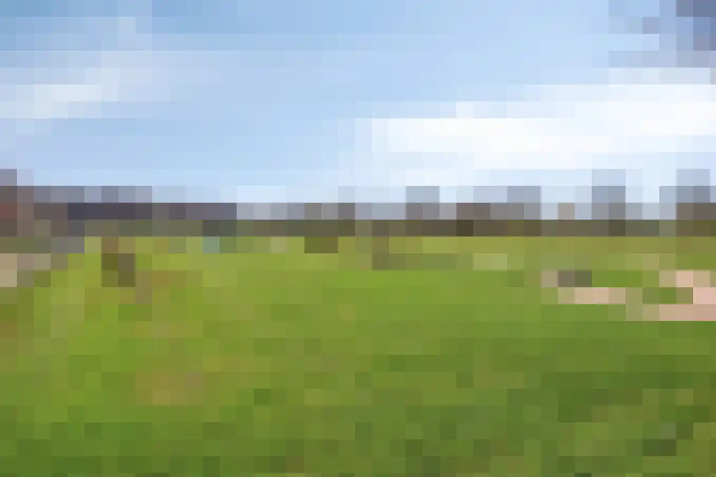 Bruine Hoopsweg 6 a Z213 Hoge Hexel thumbnail 28