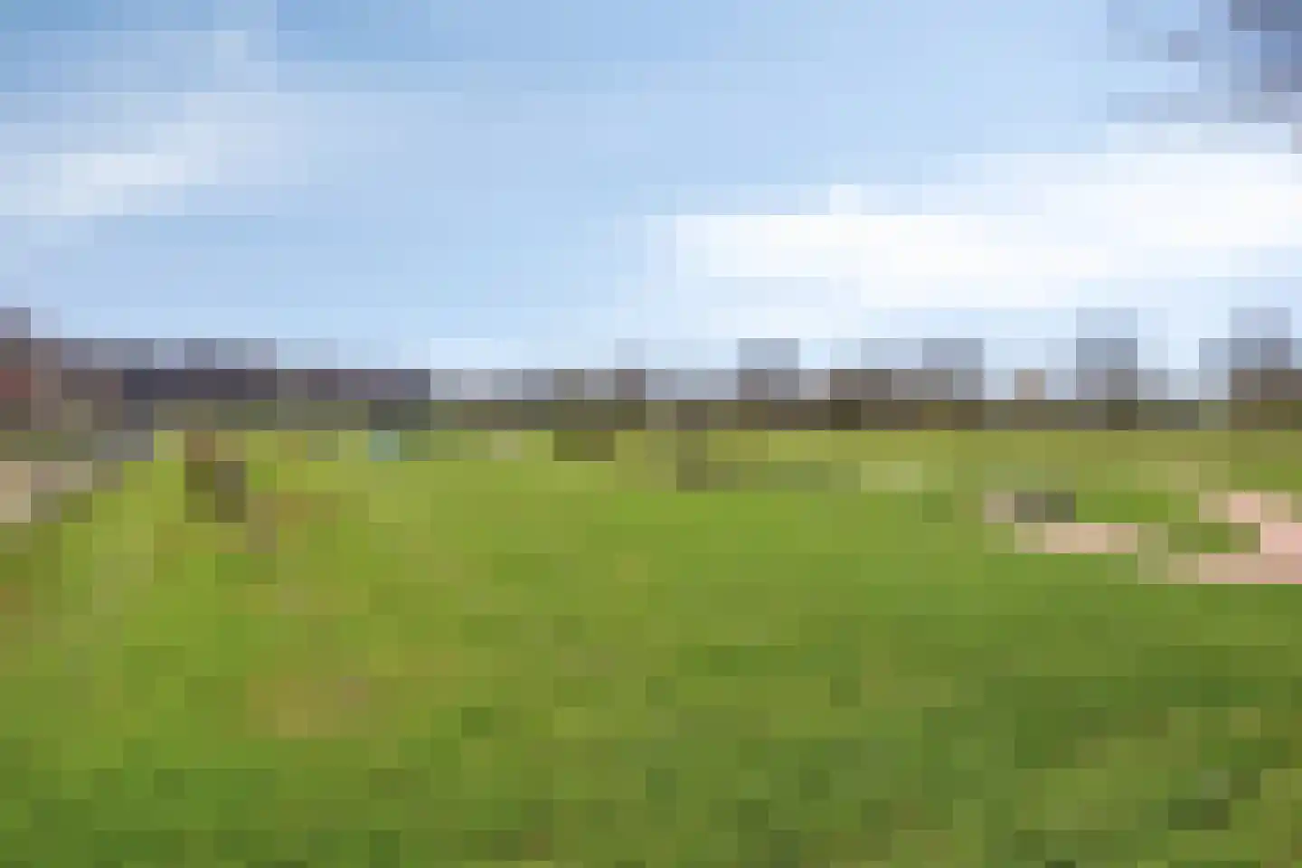 Bruine Hoopsweg 6 a Z213 Hoge Hexel thumbnail 28