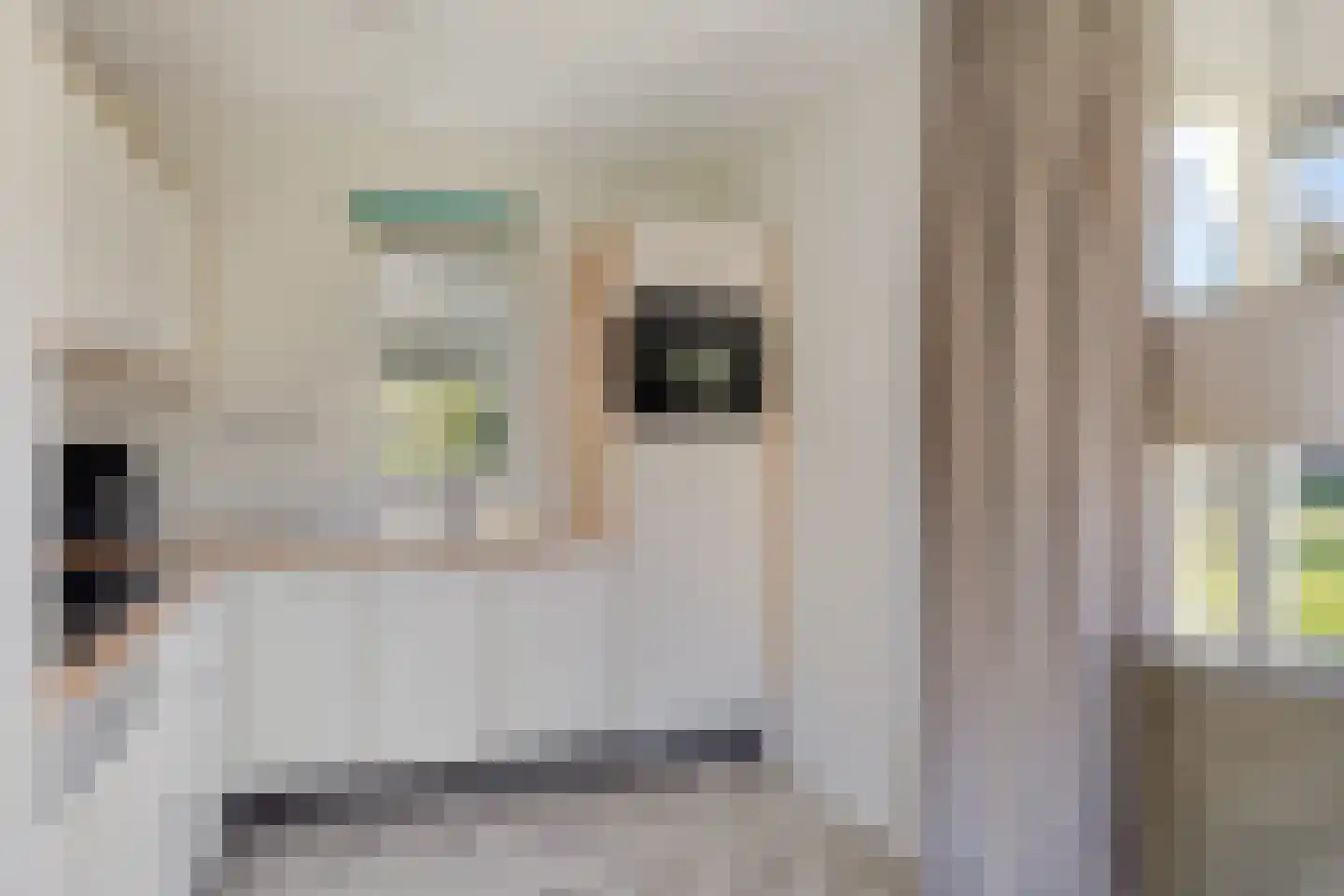 Bruine Hoopsweg 6 a Z213 Hoge Hexel thumbnail 7