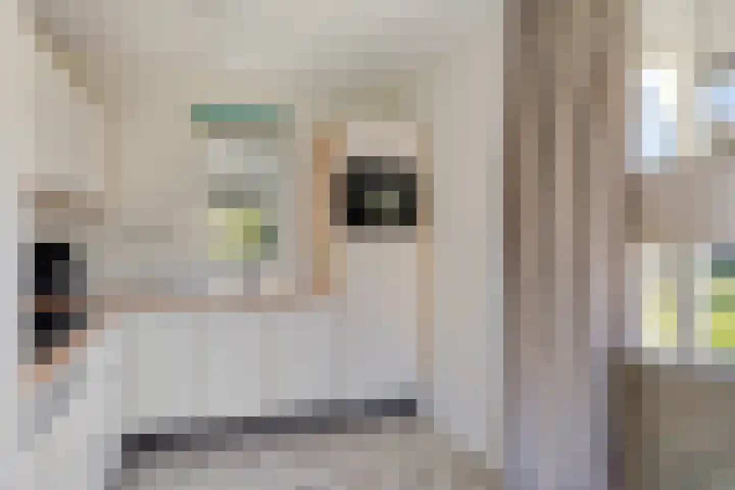 Bruine Hoopsweg 6 a Z213 Hoge Hexel thumbnail 7