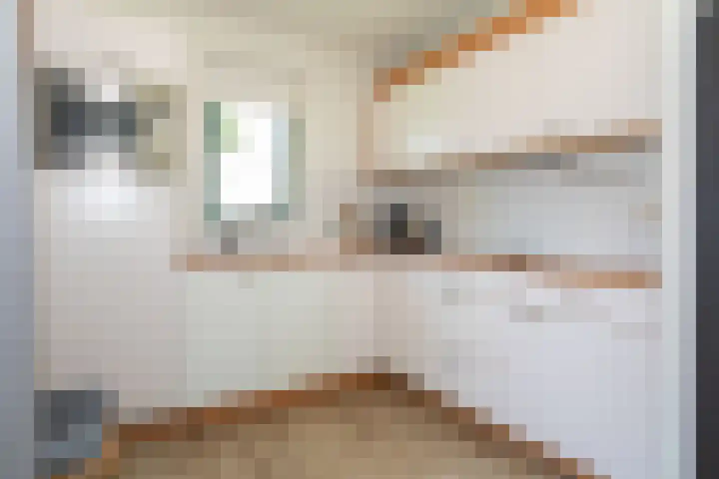 Bruine Hoopsweg 6 a Z215 Hoge Hexel thumbnail 13