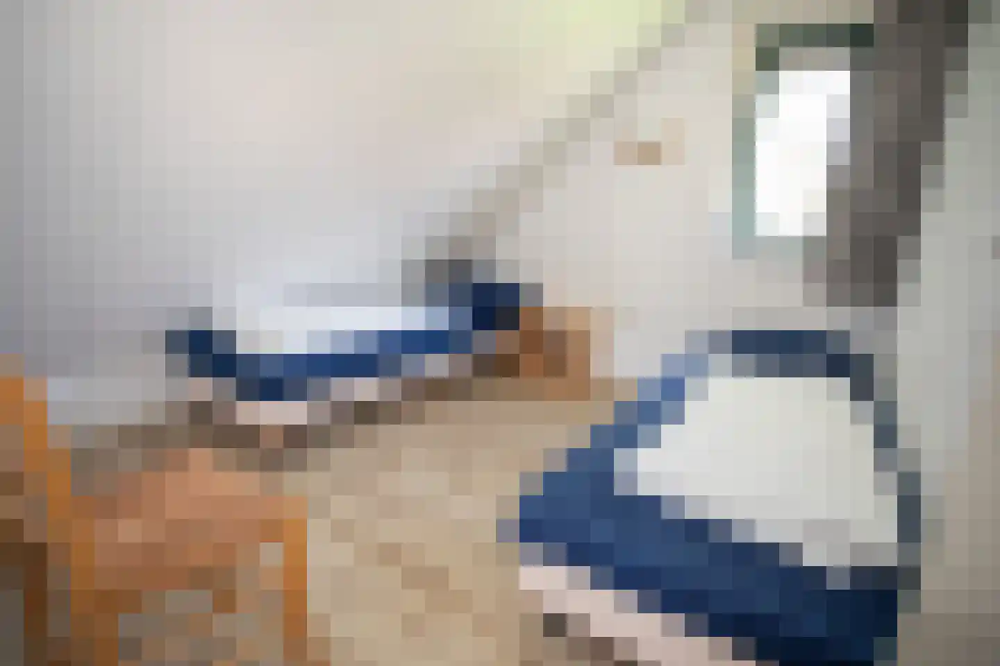 Bruine Hoopsweg 6 a Z215 Hoge Hexel thumbnail 22