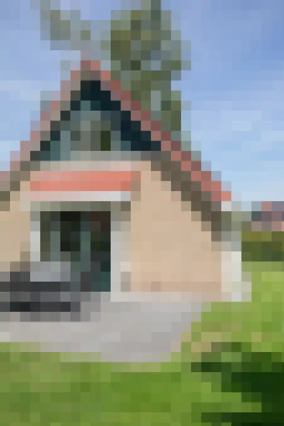 Bruine Hoopsweg 6 a Z215 Hoge Hexel thumbnail 26