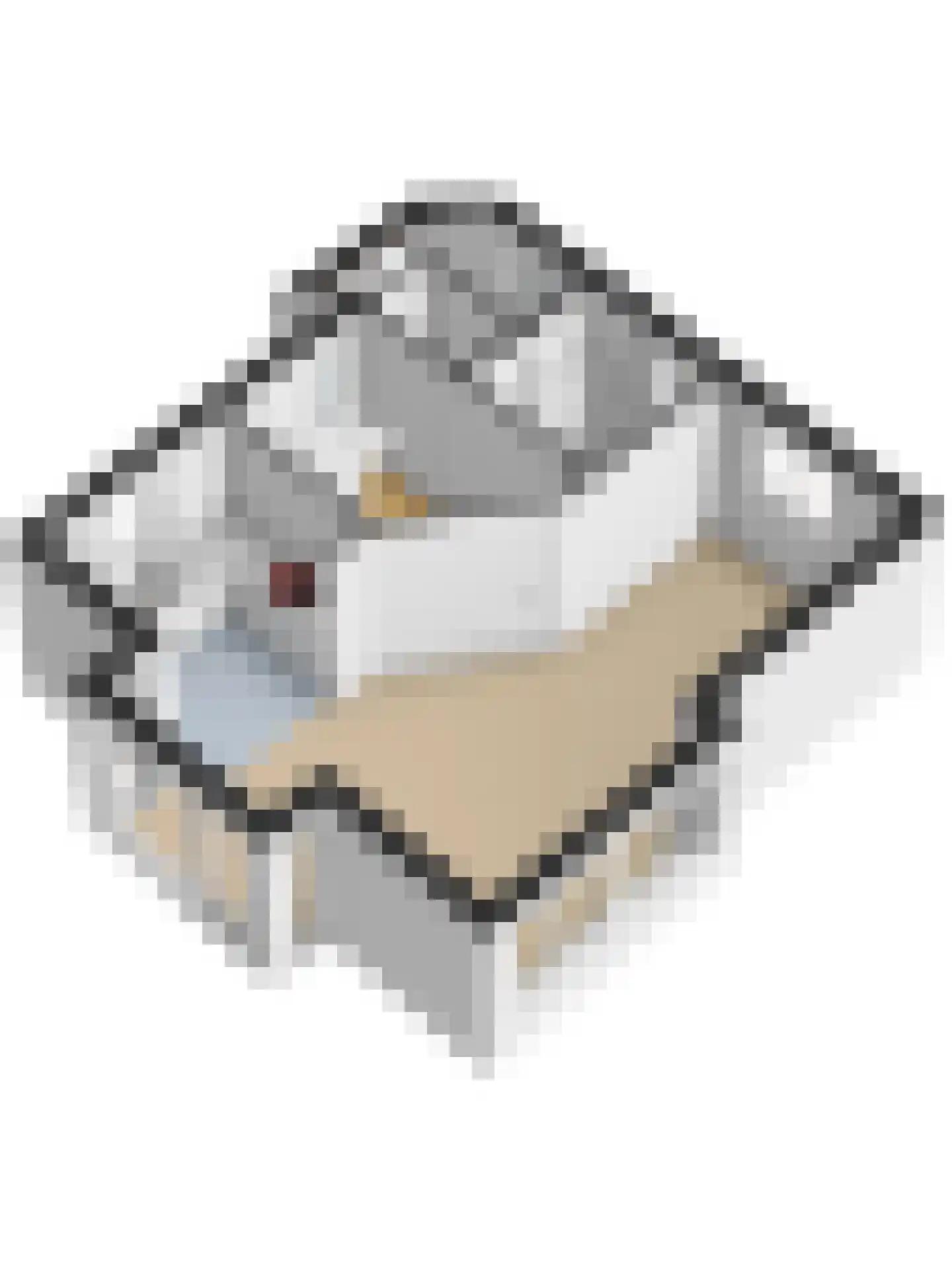 Bruine Hoopsweg 6 a Z215 Hoge Hexel thumbnail 31