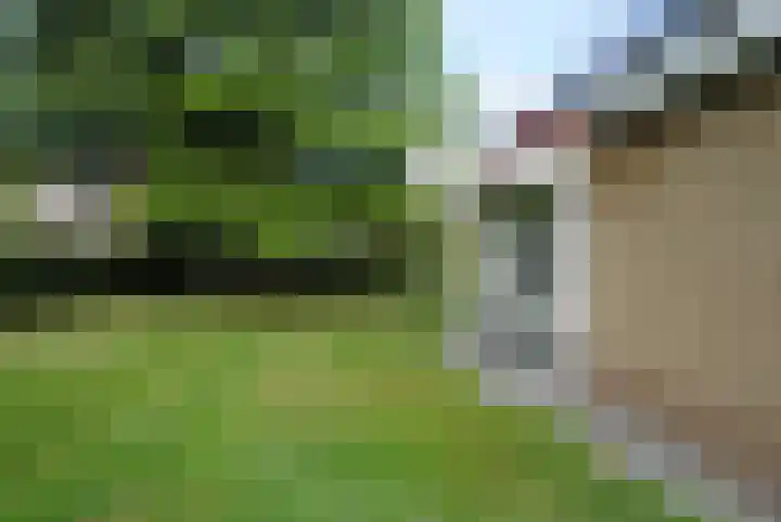 Bruine Hoopsweg 6 a Z217 Hoge Hexel thumbnail 16