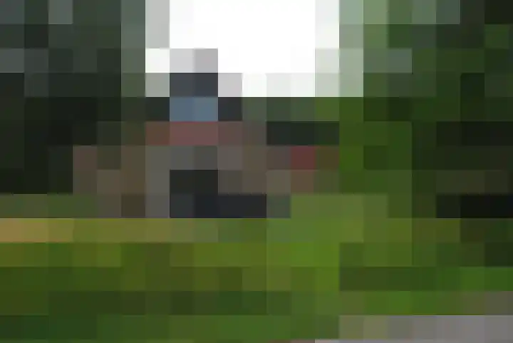 Bruine Hoopsweg 6 a Z217 Hoge Hexel thumbnail 17