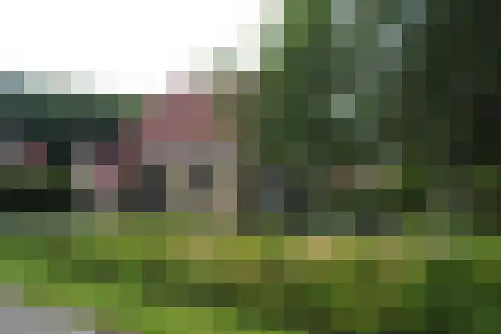 Bruine Hoopsweg 6 a Z217 Hoge Hexel foto 3