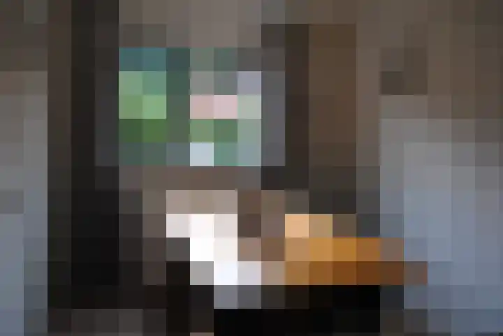 Bruine Hoopsweg 6 a Z217 Hoge Hexel thumbnail 5