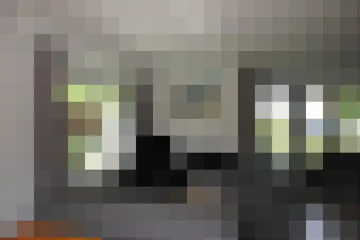 Bruine Hoopsweg 6 a Z217 Hoge Hexel thumbnail 7