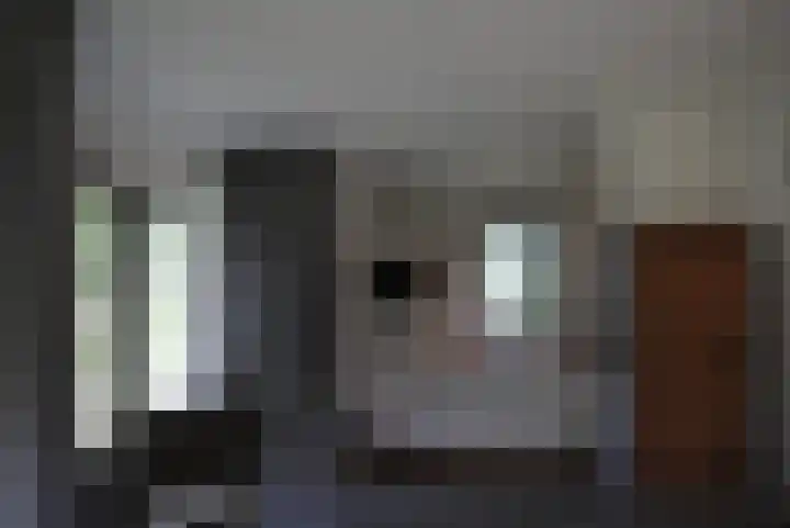 Bruine Hoopsweg 6 a Z217 Hoge Hexel thumbnail 8
