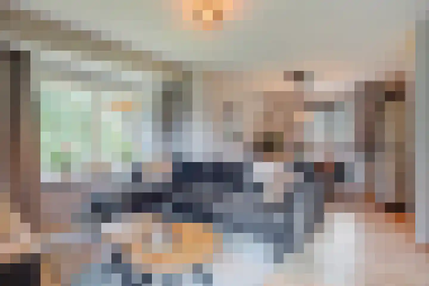 Bruine Hoopsweg 6 a Z237 Hoge Hexel thumbnail 10