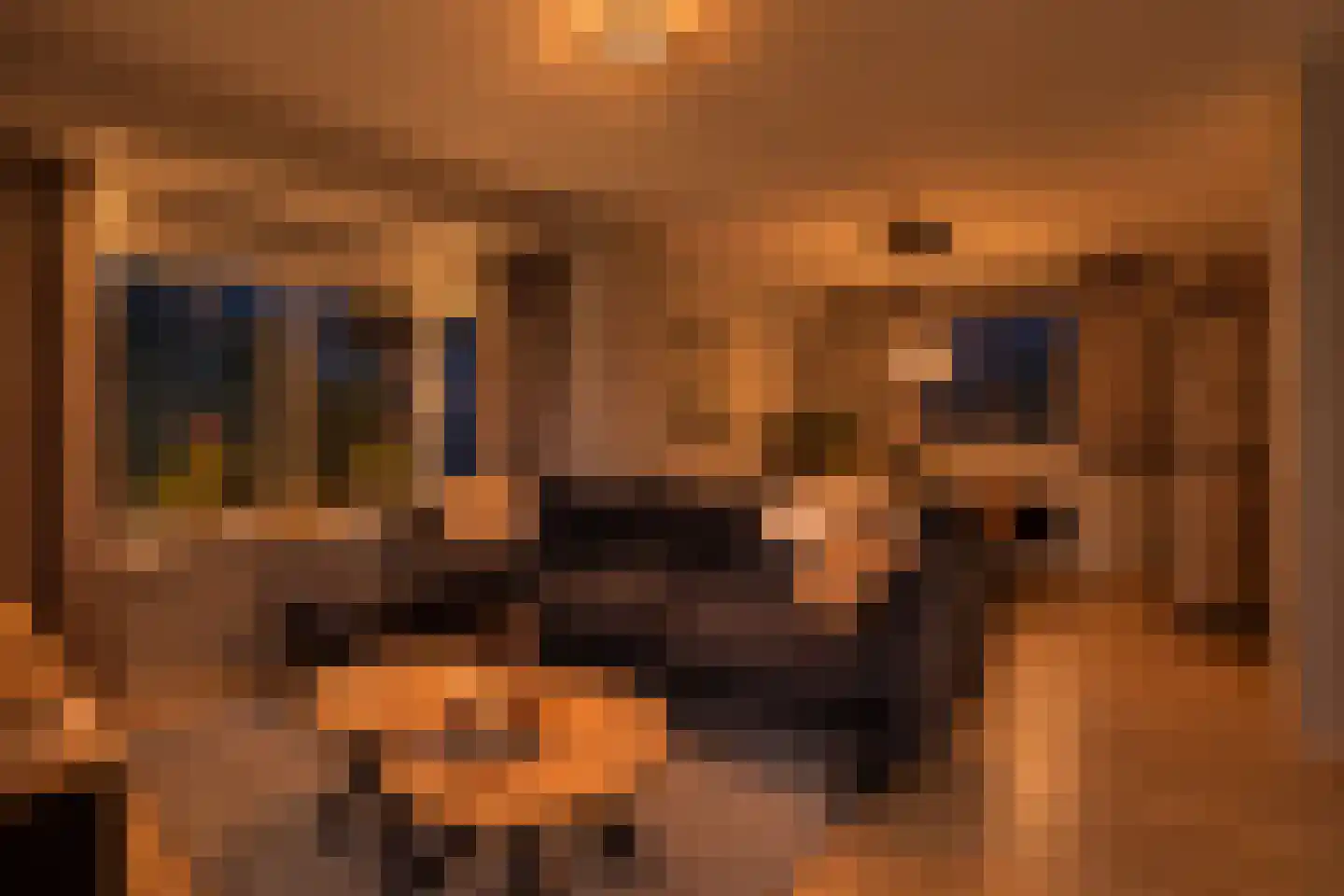 Bruine Hoopsweg 6 a Z237 Hoge Hexel thumbnail 11