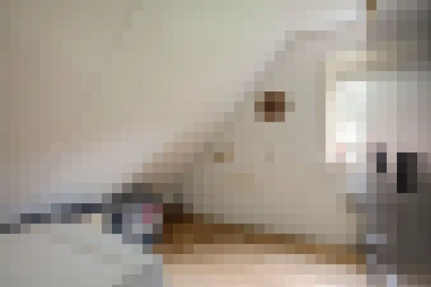 Bruine Hoopsweg 6 a Z237 Hoge Hexel thumbnail 17