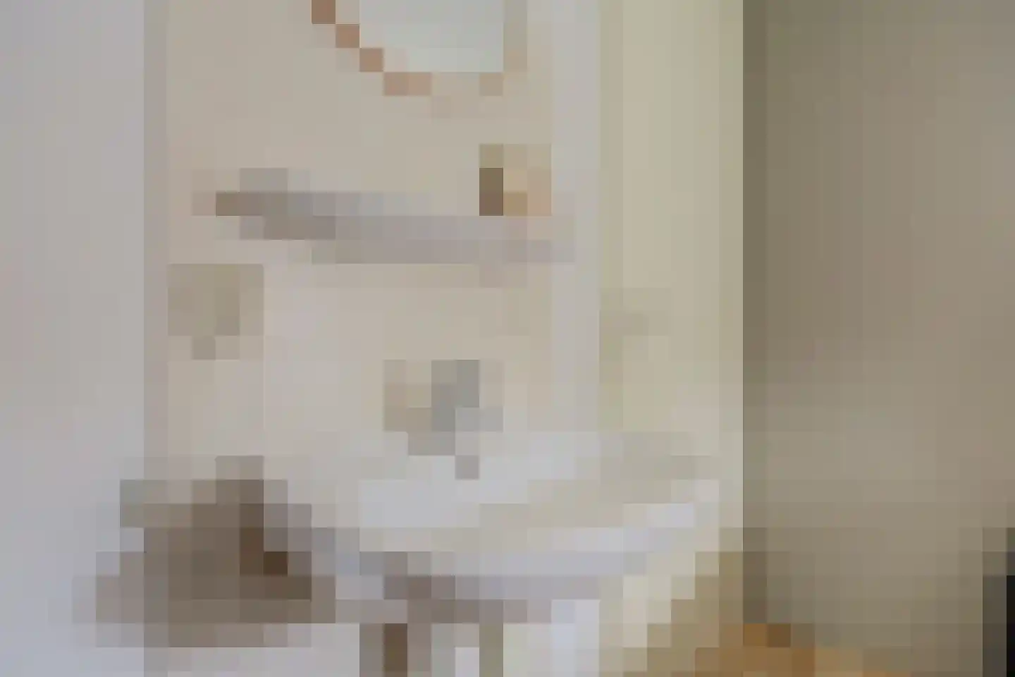 Bruine Hoopsweg 6 a Z237 Hoge Hexel thumbnail 20