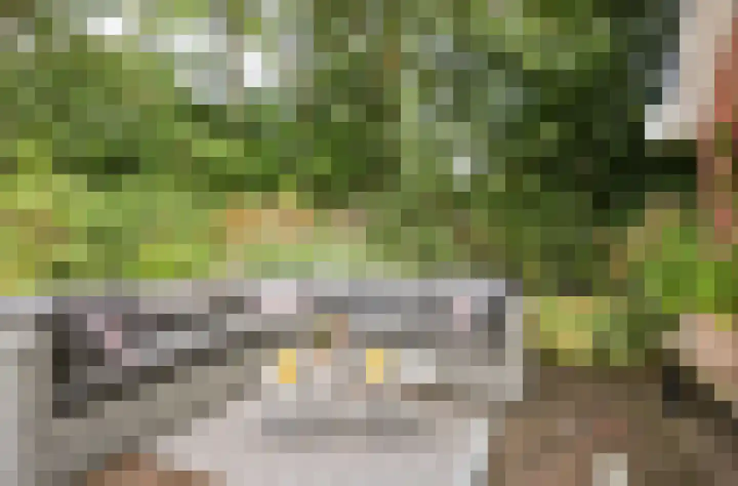 Bruine Hoopsweg 6 a Z237 Hoge Hexel thumbnail 24