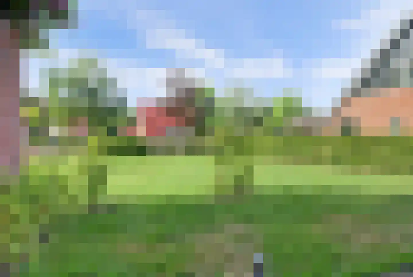 Bruine Hoopsweg 6 a Z237 Hoge Hexel thumbnail 25