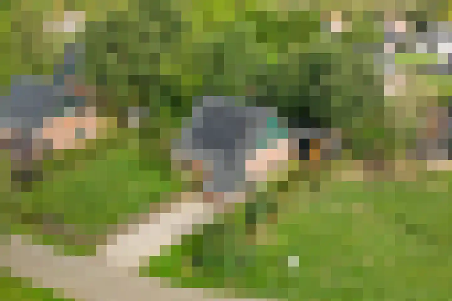 Bruine Hoopsweg 6 a Z237 Hoge Hexel thumbnail 30