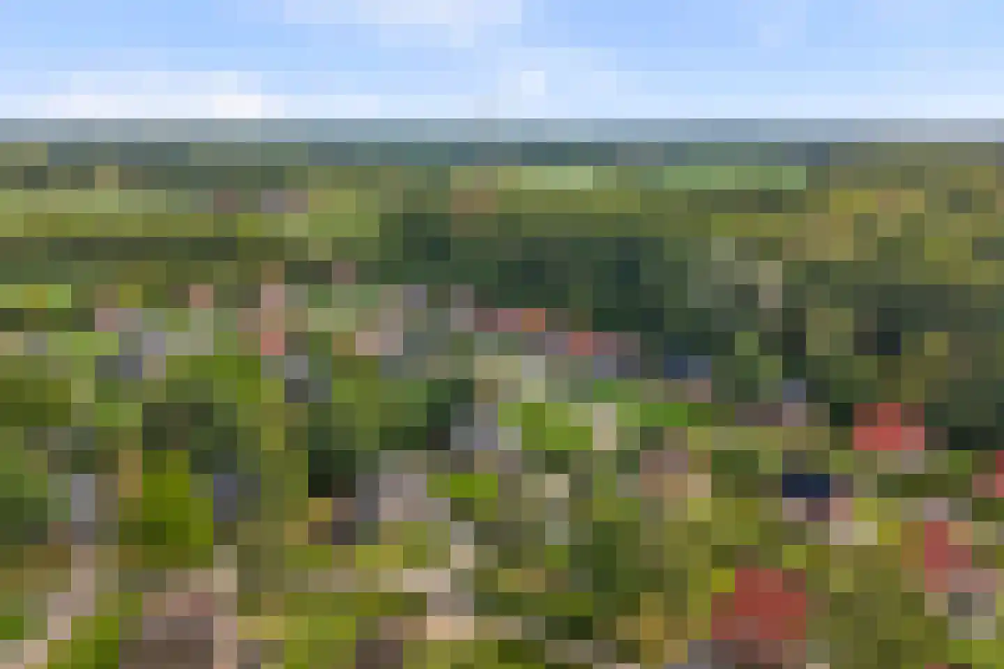 Bruine Hoopsweg 6 a Z237 Hoge Hexel thumbnail 32