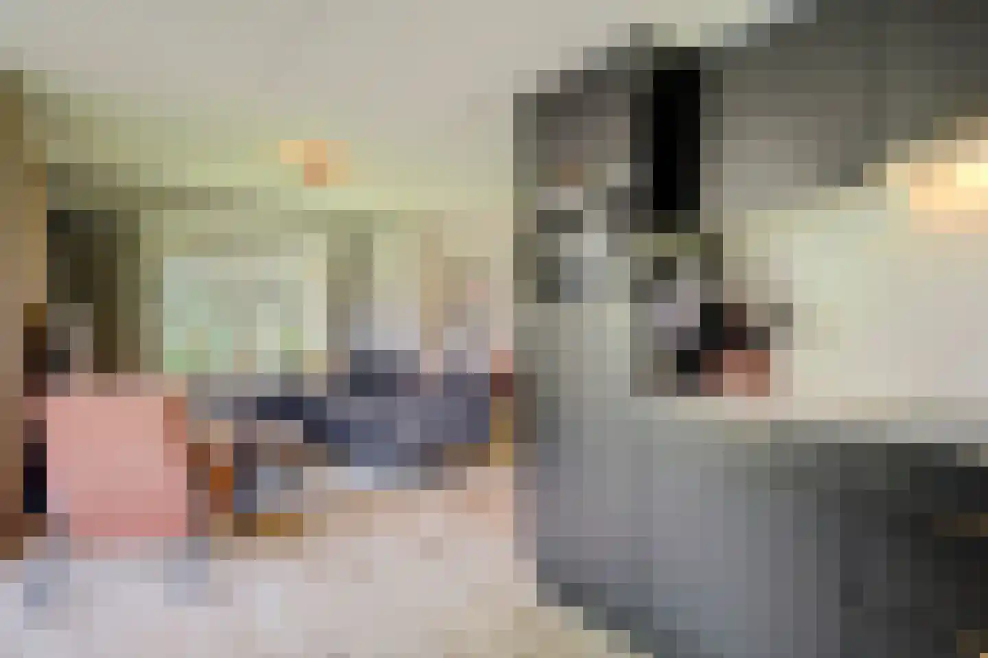 Bruine Hoopsweg 6 a Z237 Hoge Hexel thumbnail 5