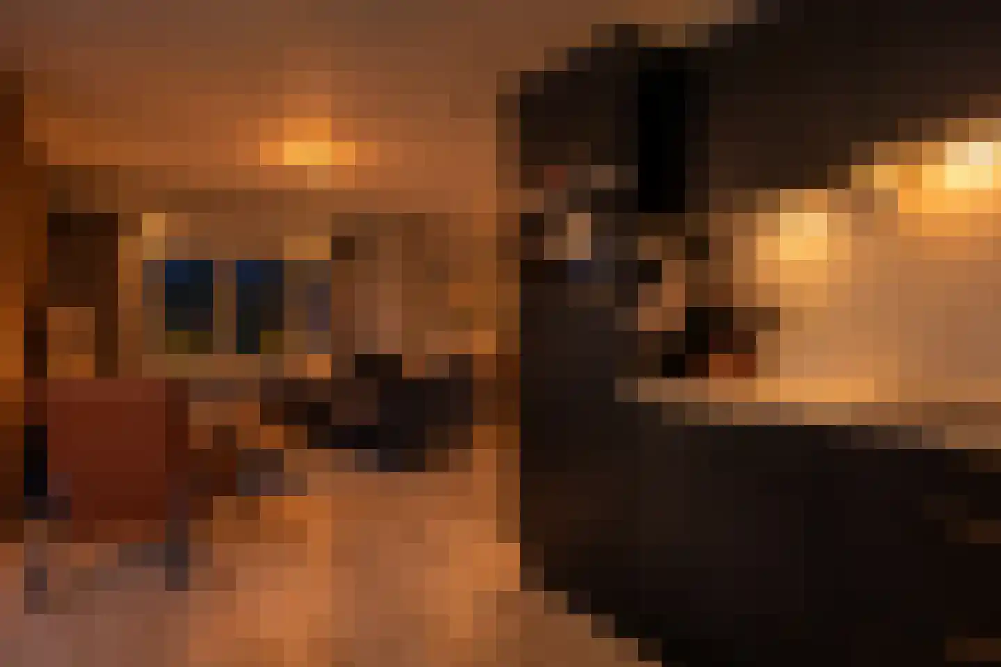 Bruine Hoopsweg 6 a Z237 Hoge Hexel thumbnail 6