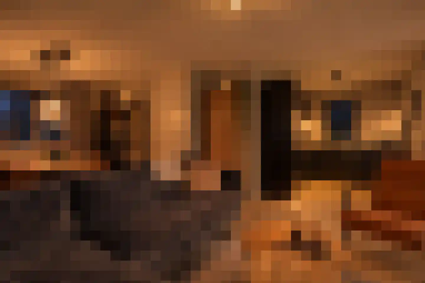 Bruine Hoopsweg 6 a Z237 Hoge Hexel thumbnail 8