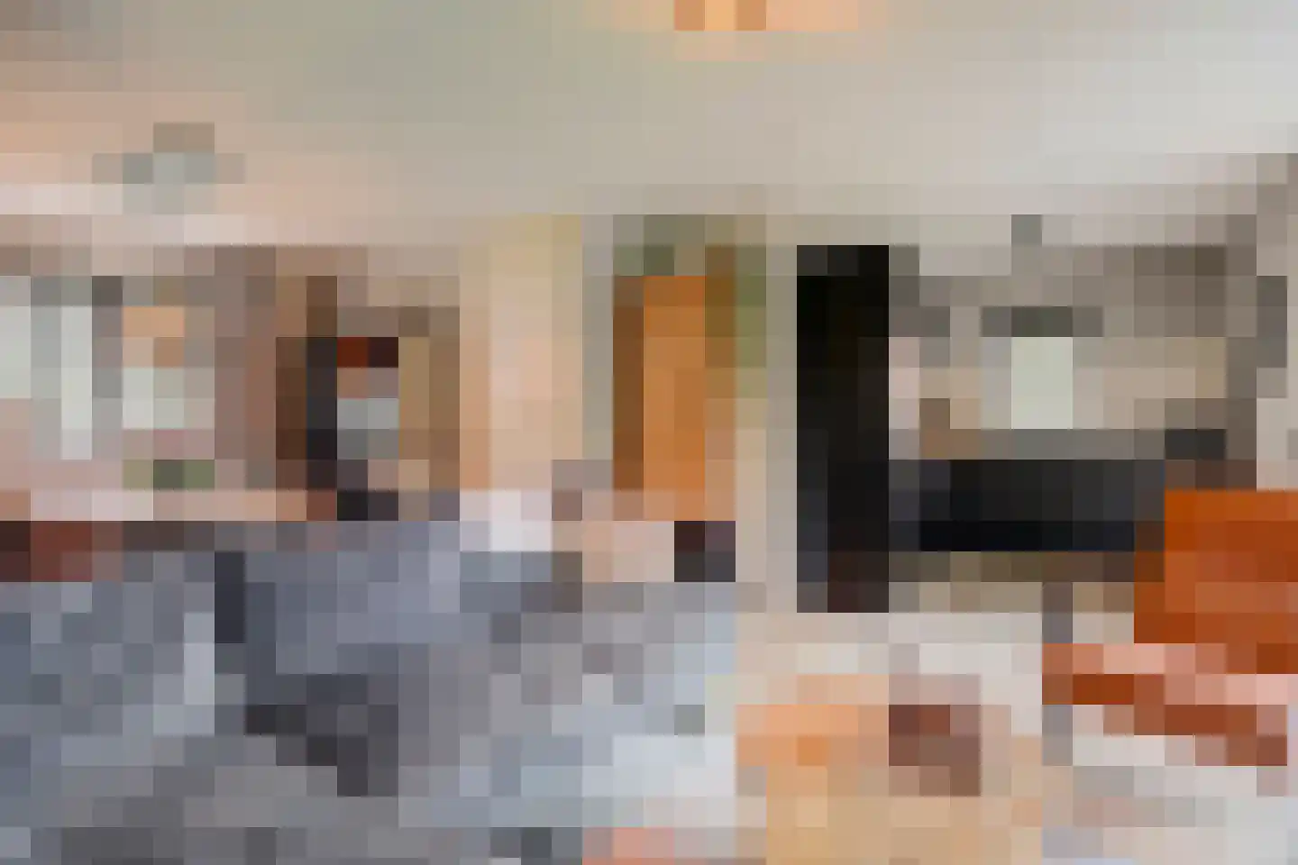 Bruine Hoopsweg 6 a Z237 Hoge Hexel thumbnail 9