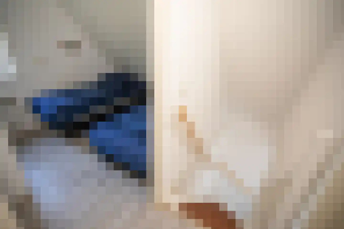 Bruine Hoopsweg 6 a Z238 Hoge Hexel thumbnail 18