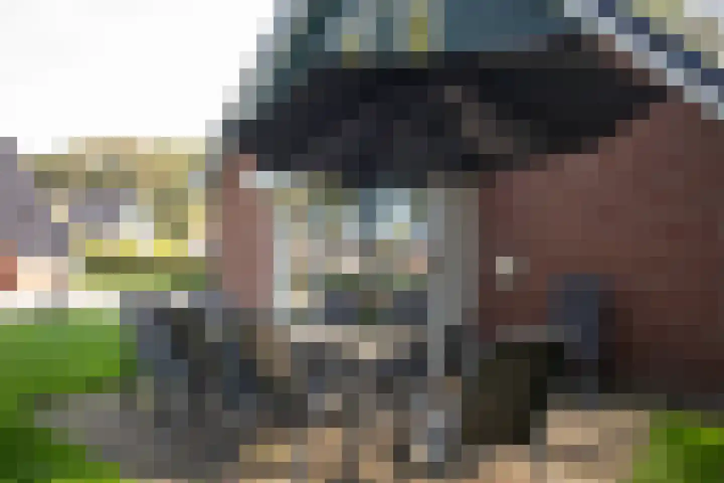 Bruine Hoopsweg 6 a Z238 Hoge Hexel thumbnail 24