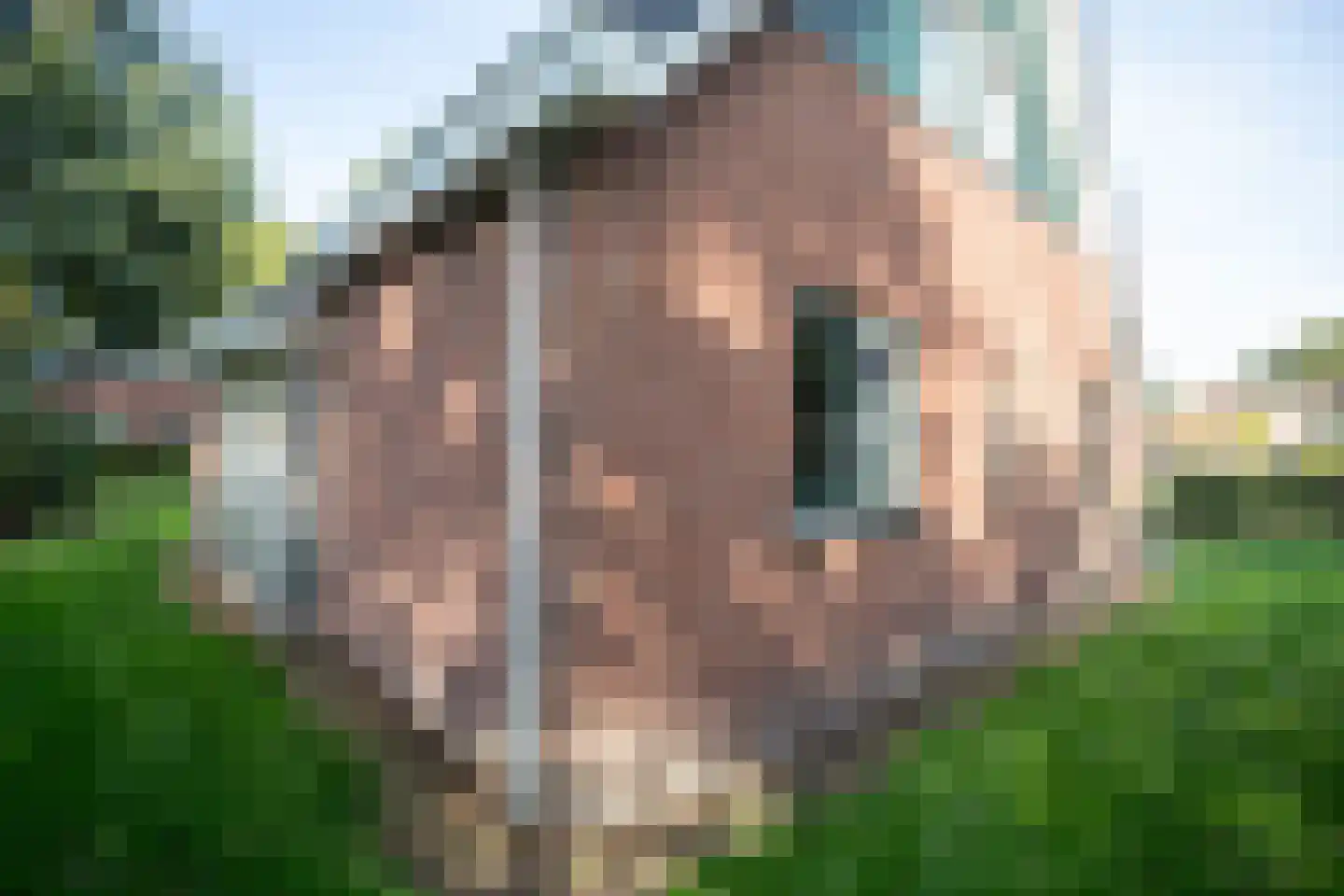Bruine Hoopsweg 6 a Z238 Hoge Hexel thumbnail 27