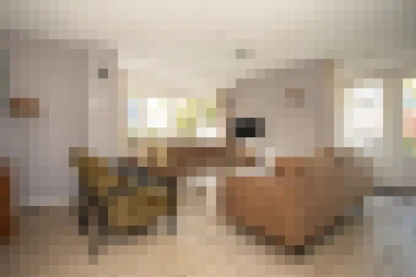 Bruine Hoopsweg 6 a Z238 Hoge Hexel foto 3