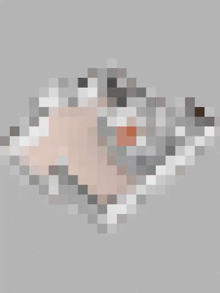 Bruine Hoopsweg 6 a Z238 Hoge Hexel thumbnail 31