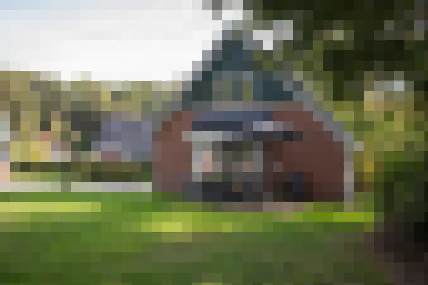 Bruine Hoopsweg 6 a Z238 Hoge Hexel thumbnail 5