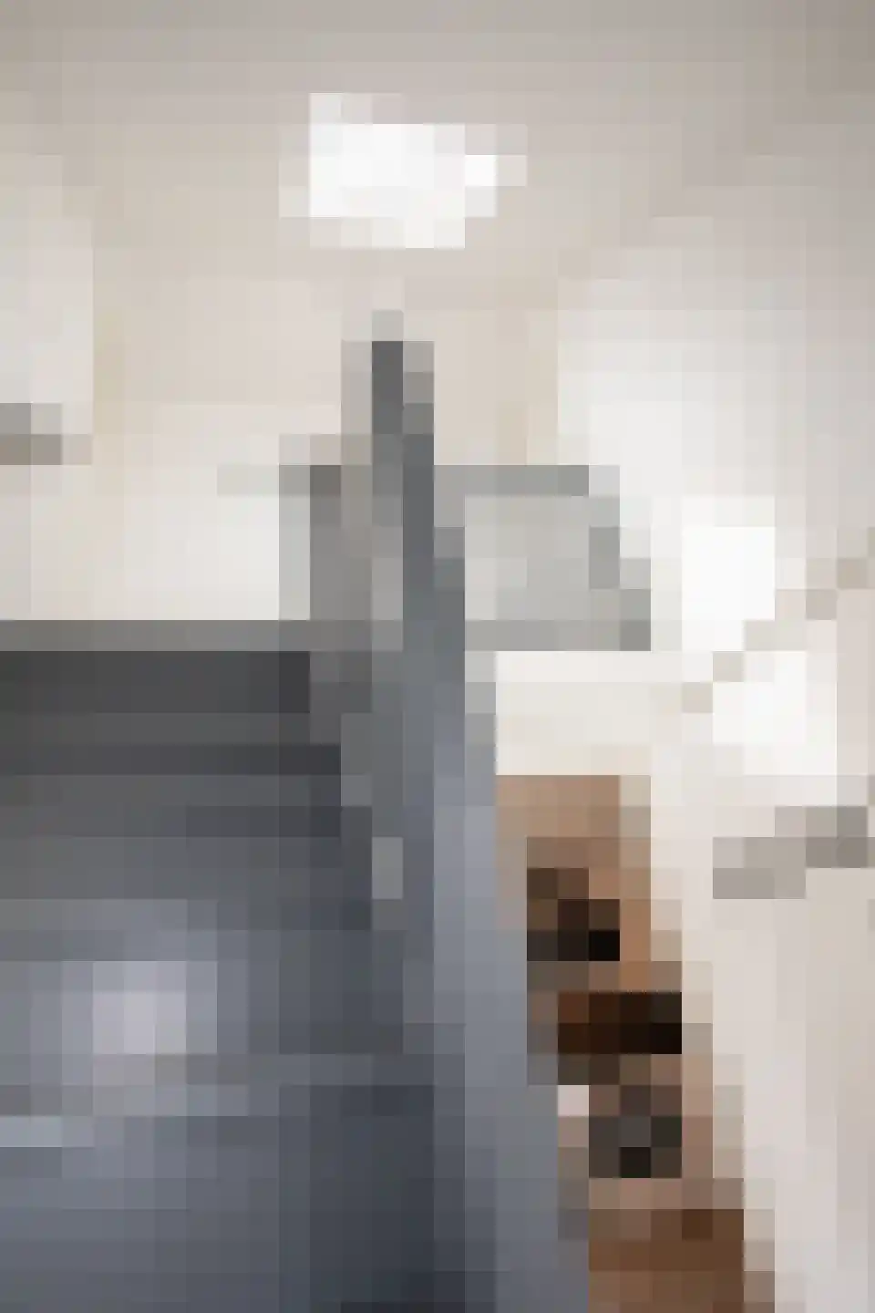 Bruine Hoopsweg 6 a Z265 Hoge Hexel thumbnail 13