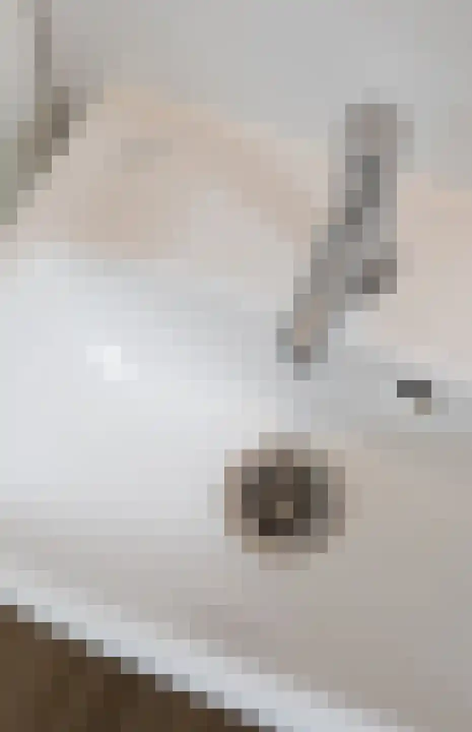 Bruine Hoopsweg 6 a Z265 Hoge Hexel thumbnail 15