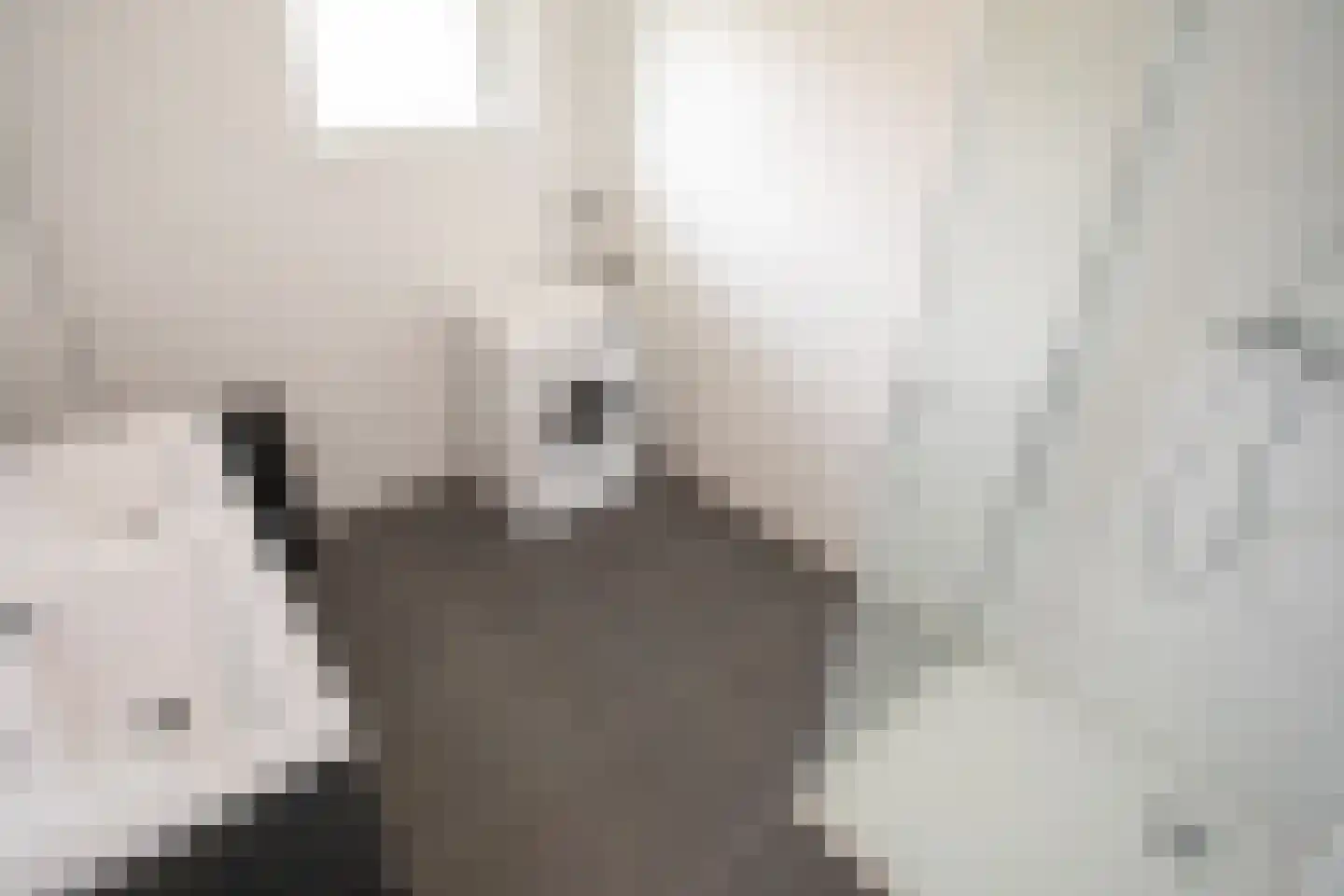 Bruine Hoopsweg 6 a Z265 Hoge Hexel thumbnail 19