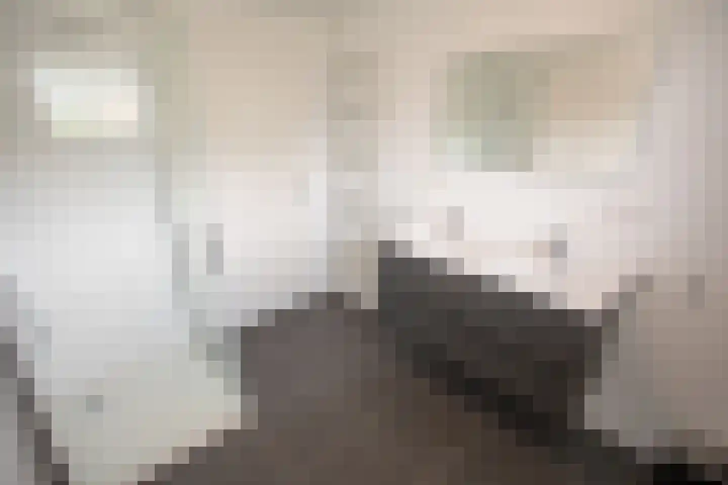 Bruine Hoopsweg 6 a Z265 Hoge Hexel thumbnail 21