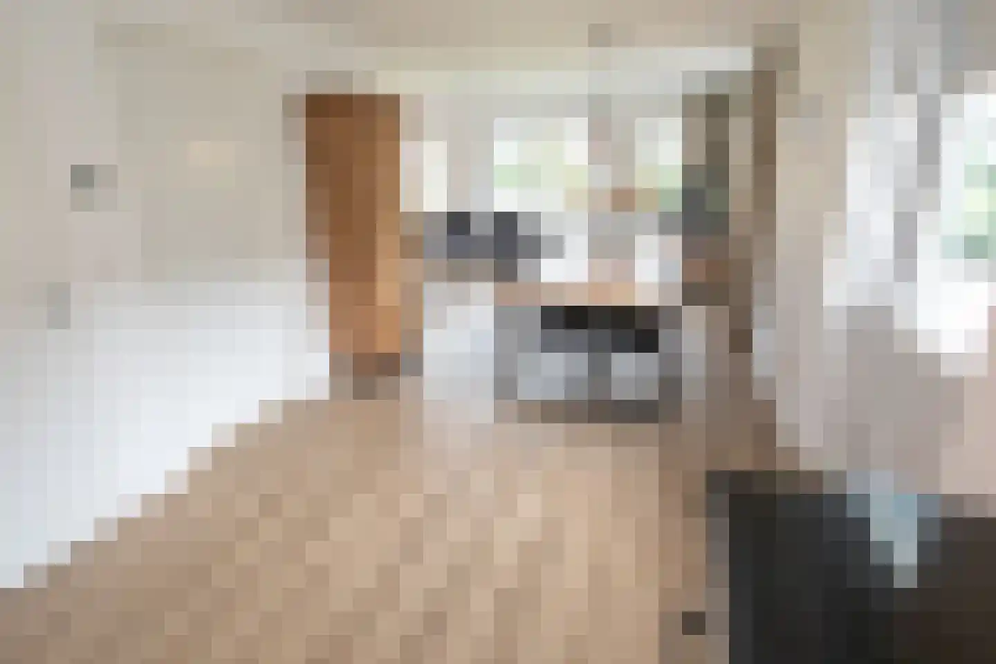 Bruine Hoopsweg 6 a Z265 Hoge Hexel thumbnail 27