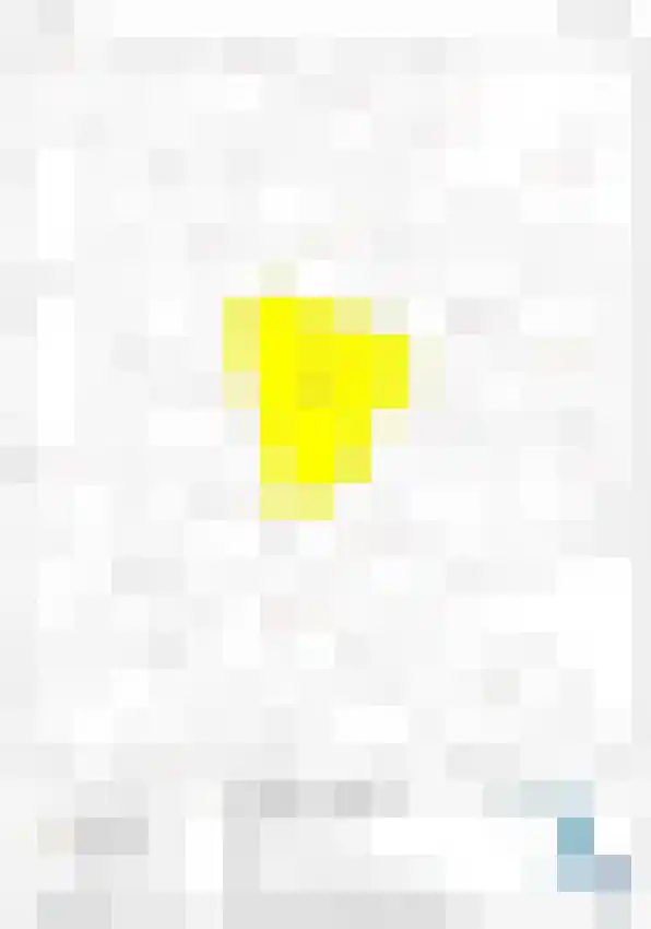 Bruine Hoopsweg 6 a Z265 Hoge Hexel thumbnail 49