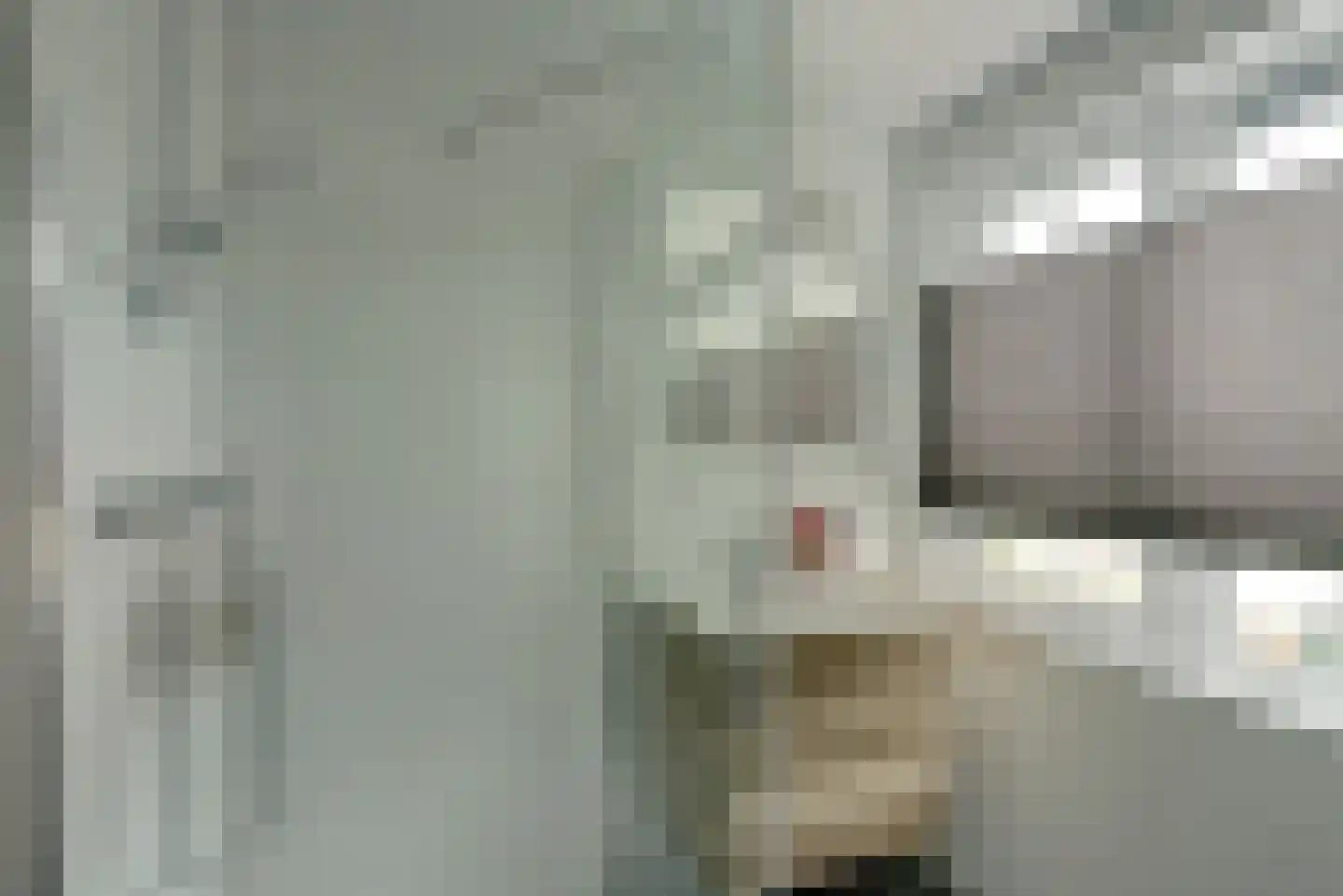 Bruine Hoopsweg 6 a Z274 Hoge Hexel thumbnail 10