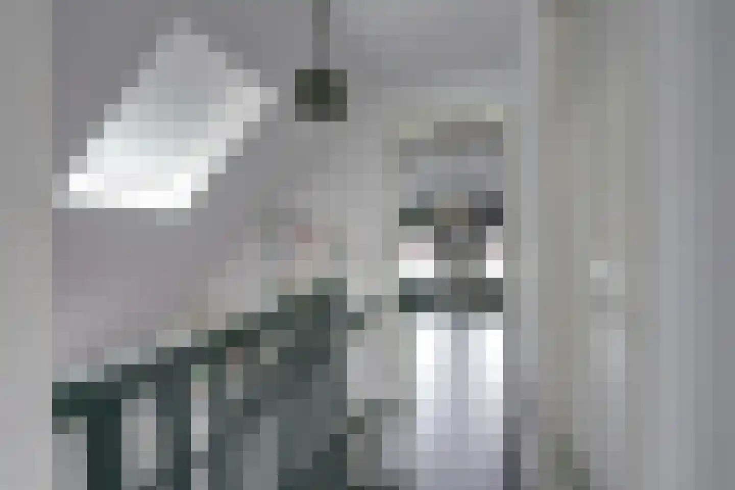 Bruine Hoopsweg 6 a Z274 Hoge Hexel thumbnail 12
