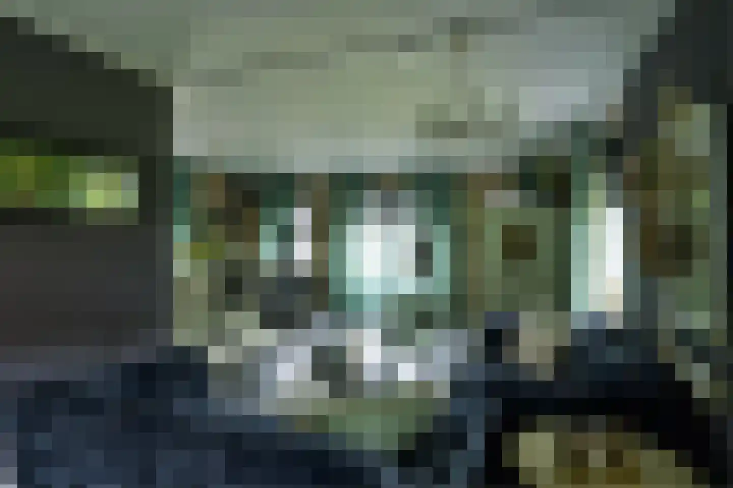 Bruine Hoopsweg 6 a Z274 Hoge Hexel thumbnail 14