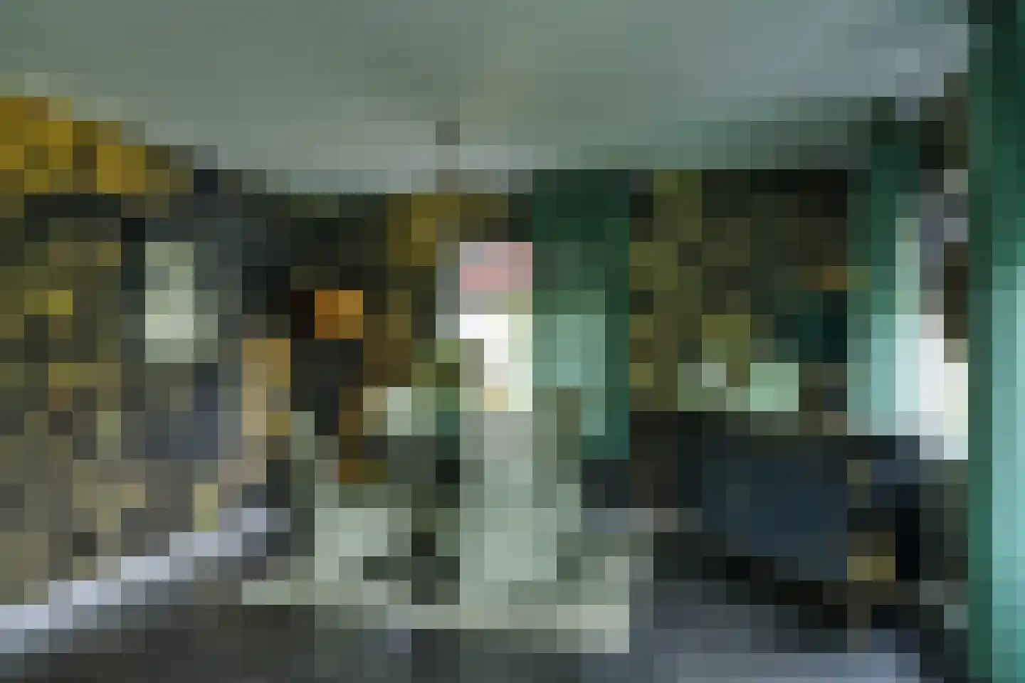 Bruine Hoopsweg 6 a Z274 Hoge Hexel thumbnail 16