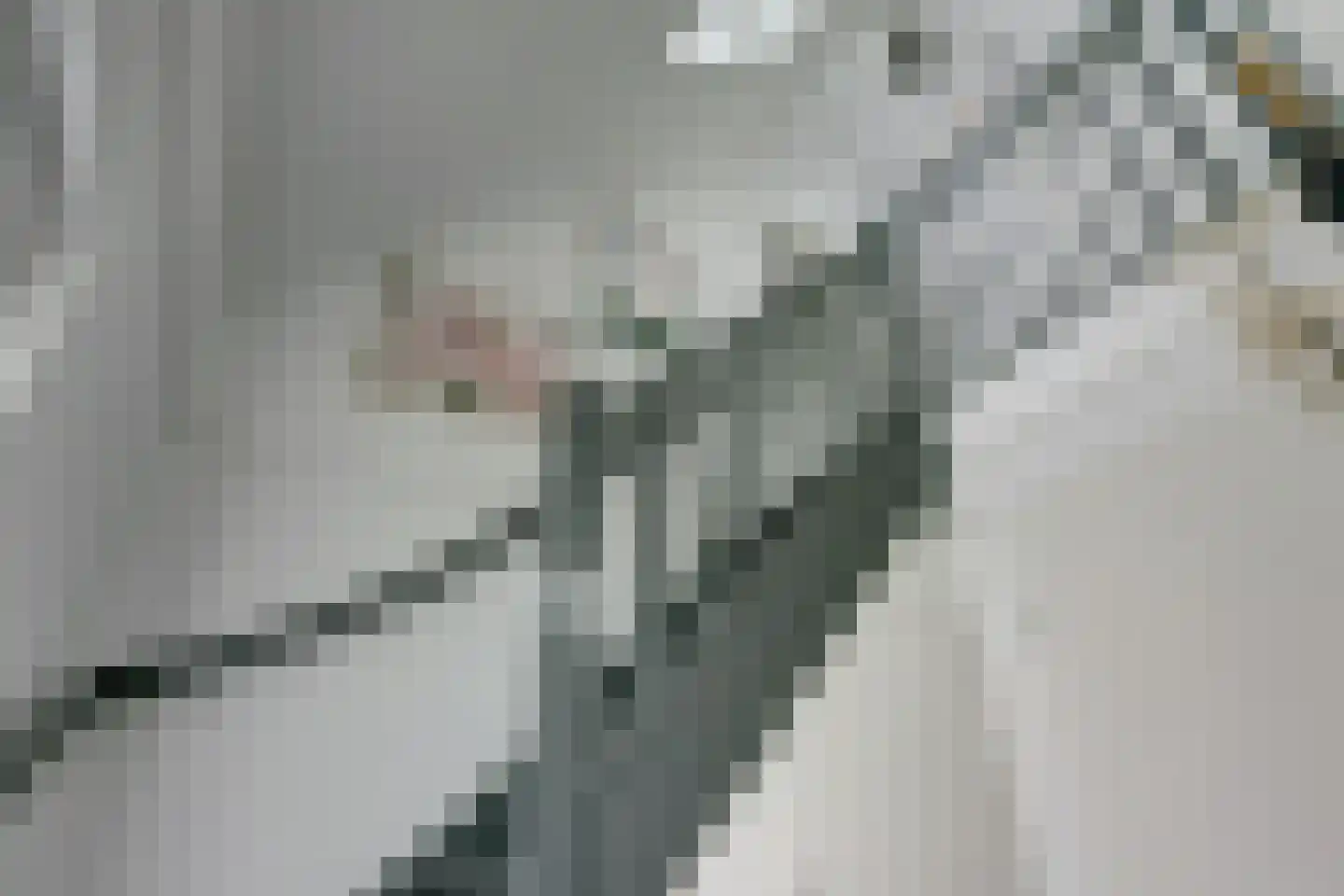 Bruine Hoopsweg 6 a Z274 Hoge Hexel thumbnail 22