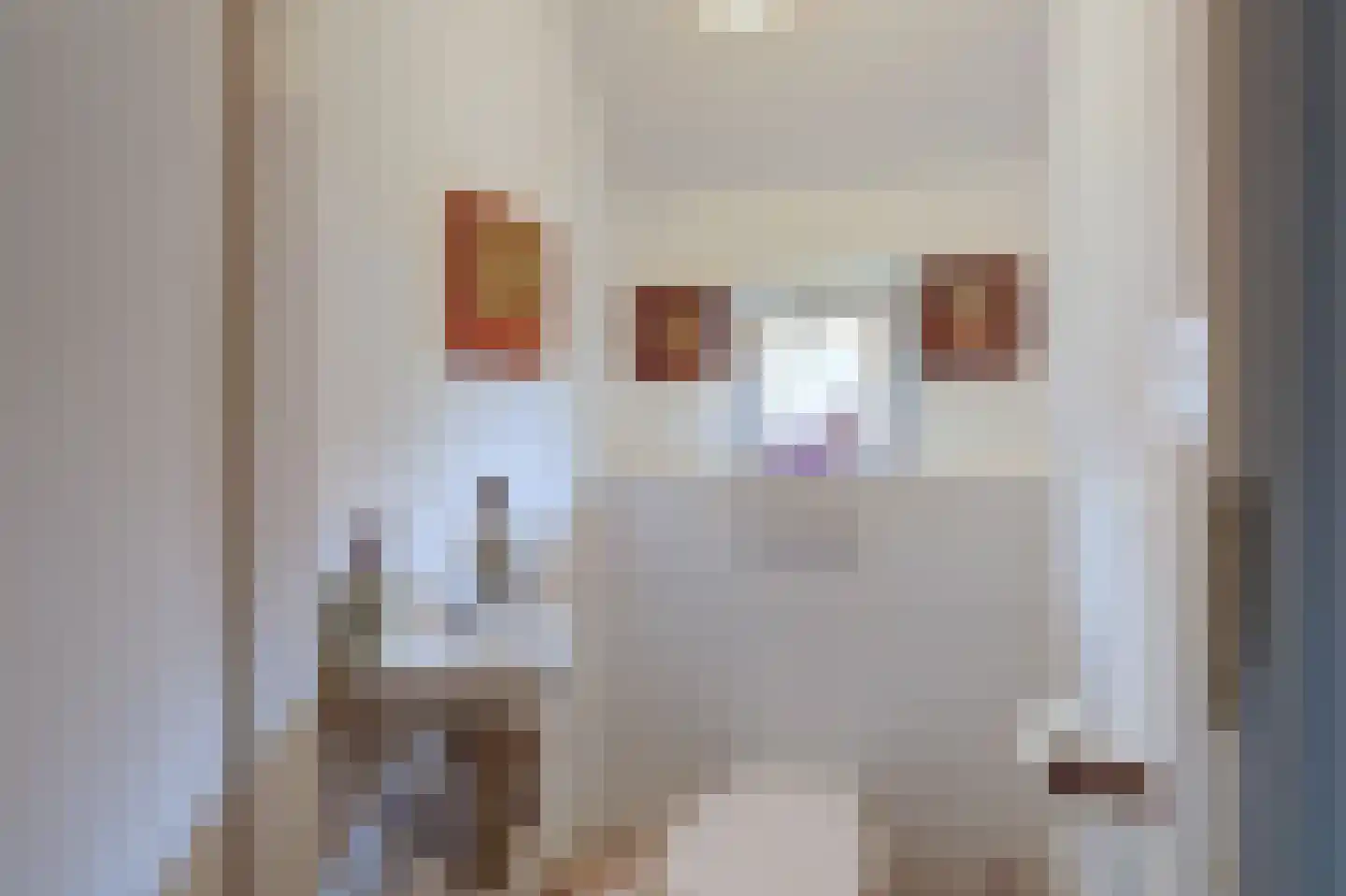 Bruine Hoopsweg 6 a Z274 Hoge Hexel thumbnail 24