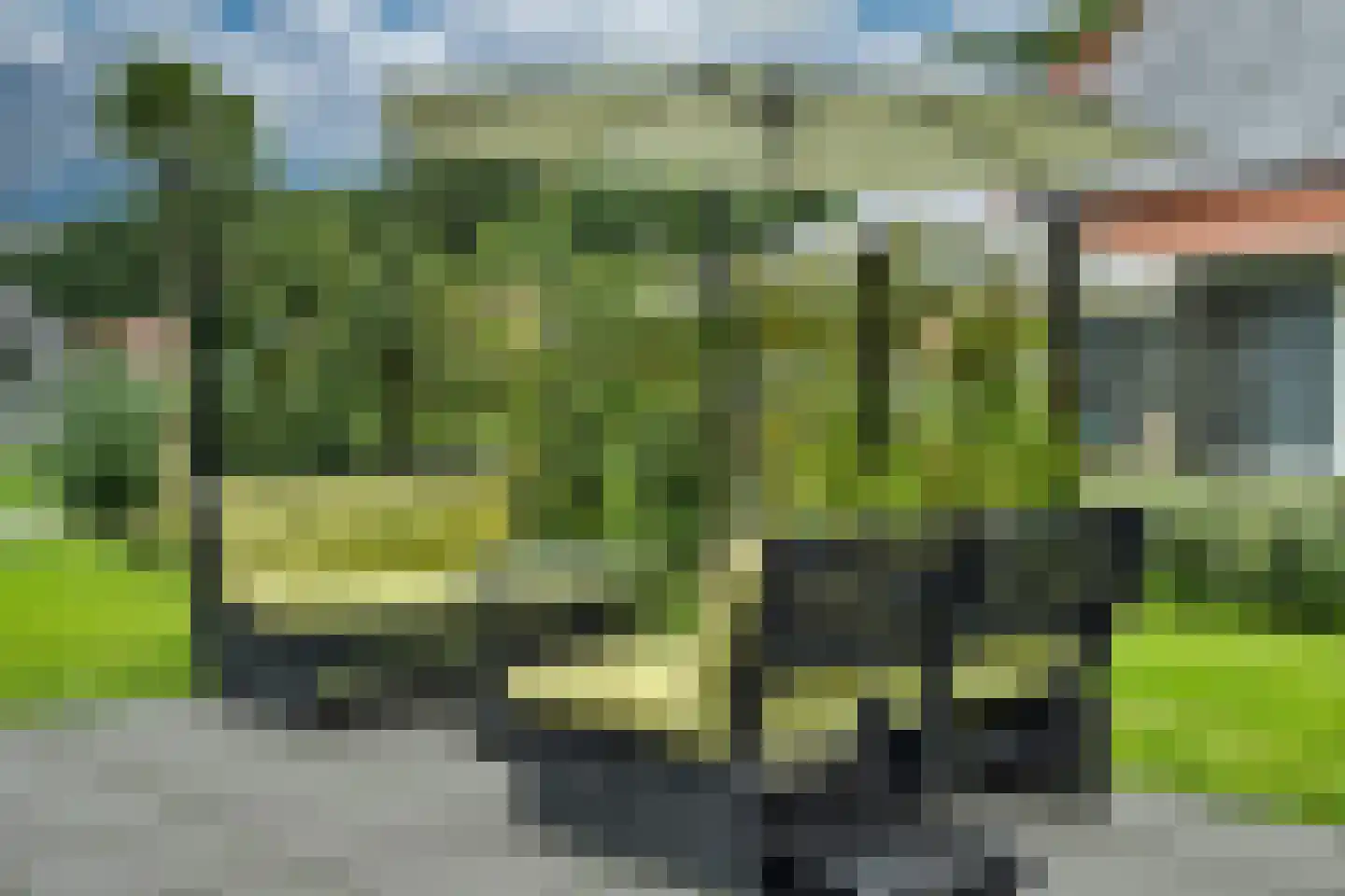 Bruine Hoopsweg 6 a Z274 Hoge Hexel thumbnail 33