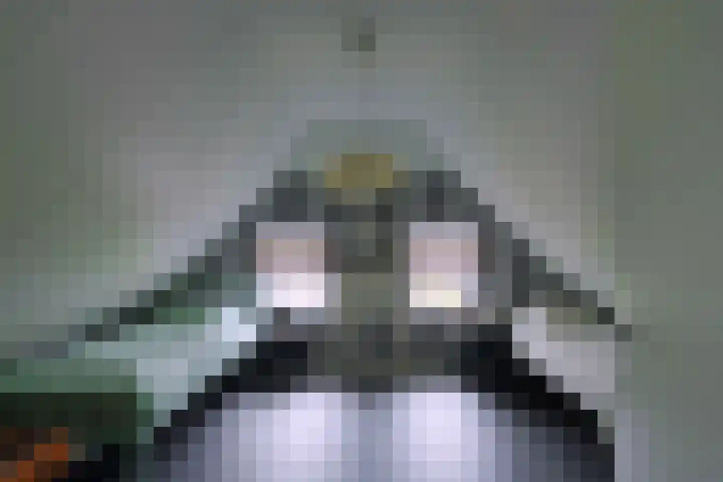 Bruine Hoopsweg 6 a Z274 Hoge Hexel thumbnail 5