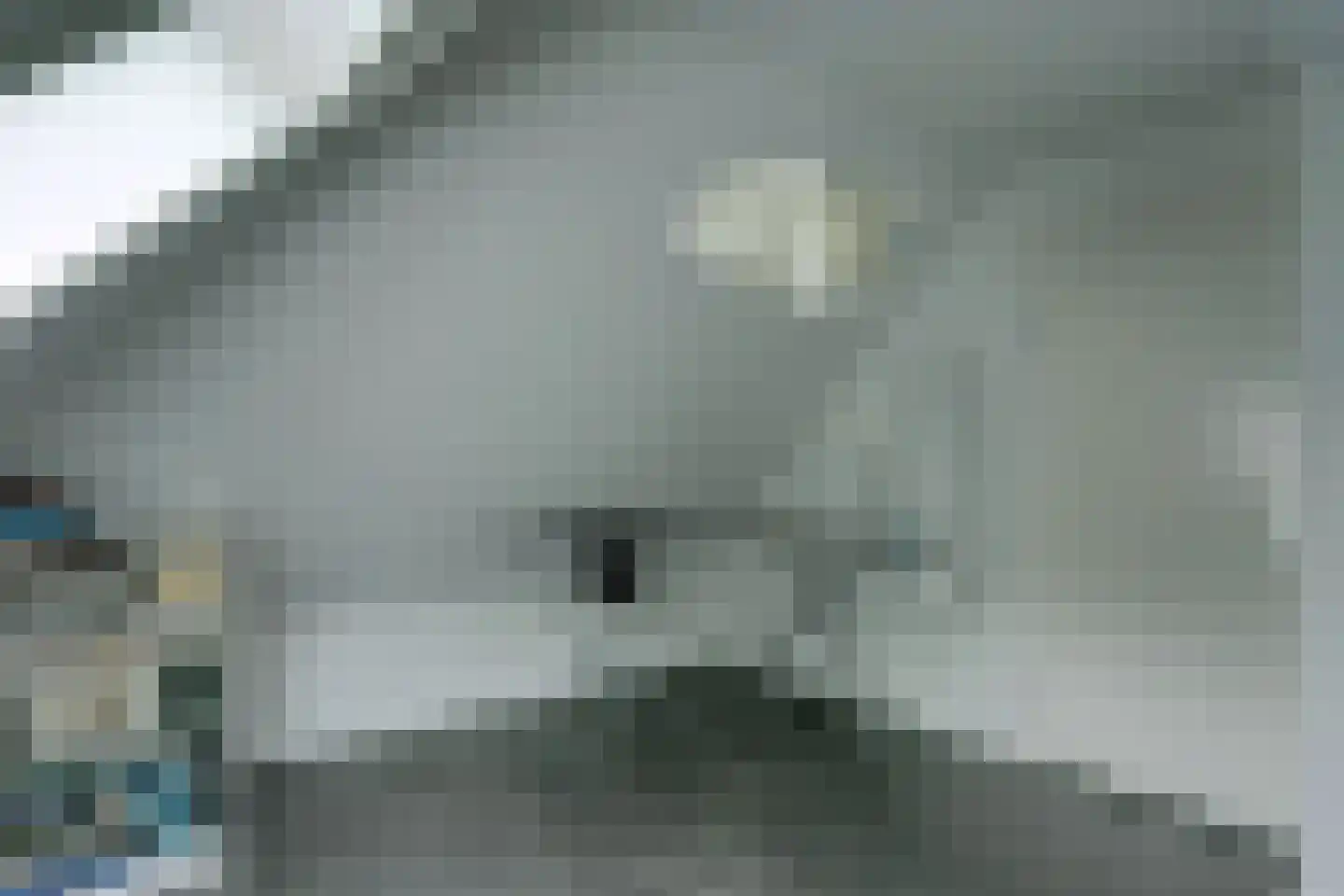 Bruine Hoopsweg 6 a Z274 Hoge Hexel thumbnail 9