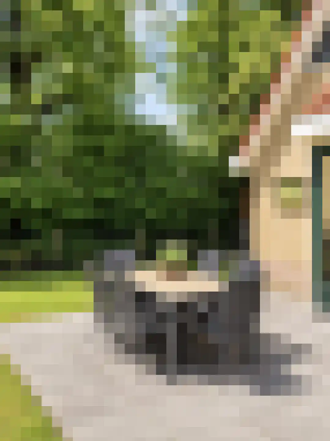Bruine Hoopsweg 6 a Z298 Hoge Hexel thumbnail 25