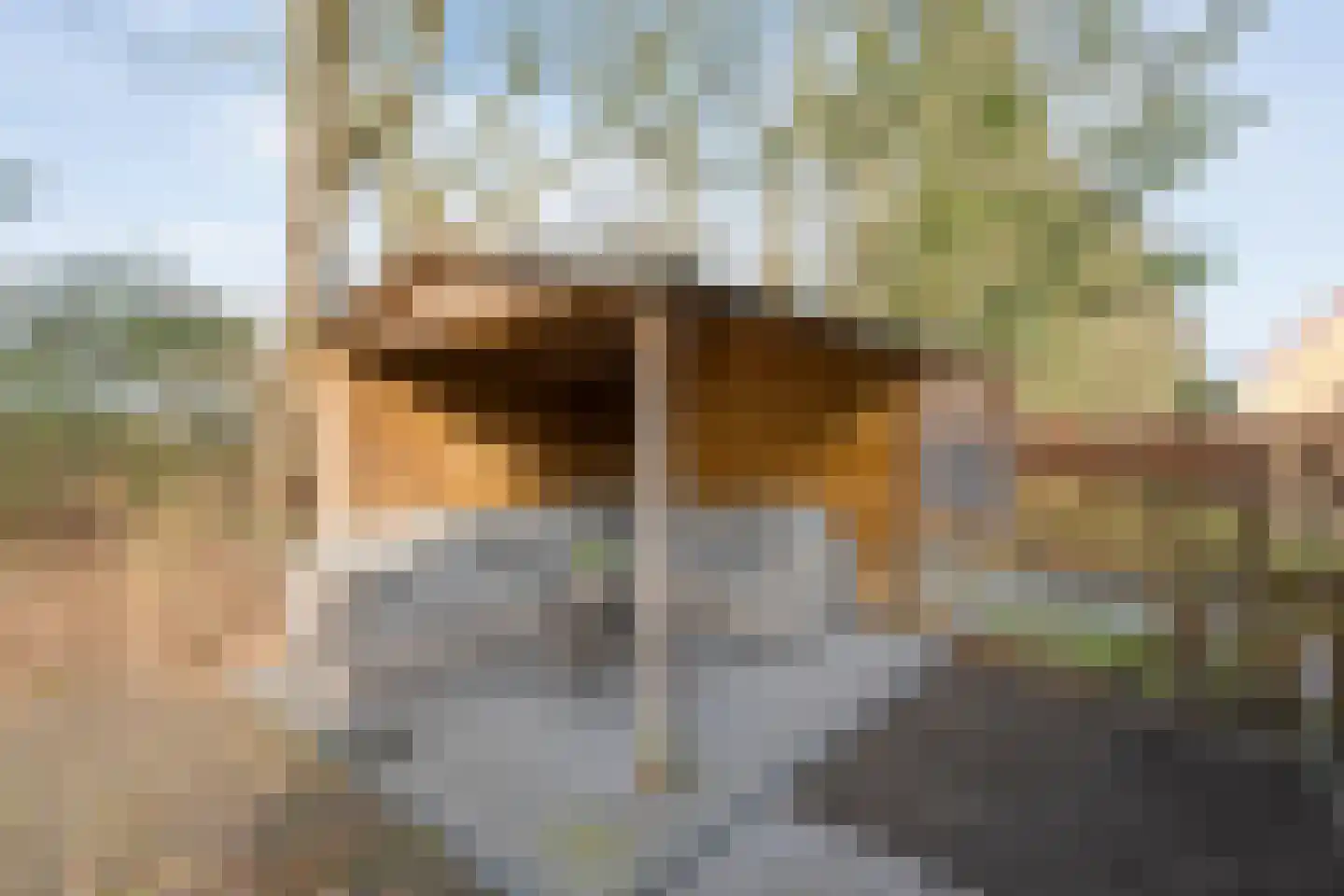 Bruine Hoopsweg 6 a Z298 Hoge Hexel thumbnail 27